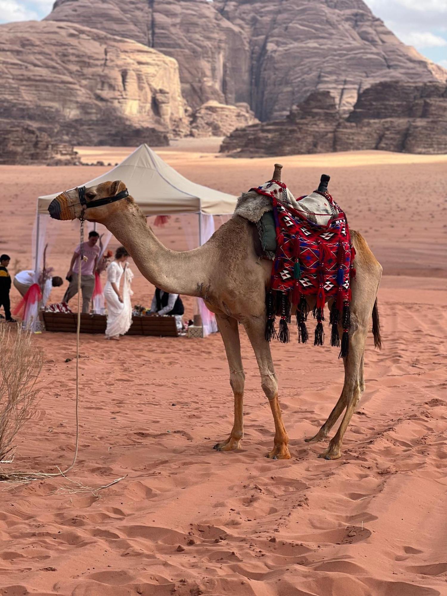 Ferienwohnung Moon Magic Valley Wadi Rum Exterior foto
