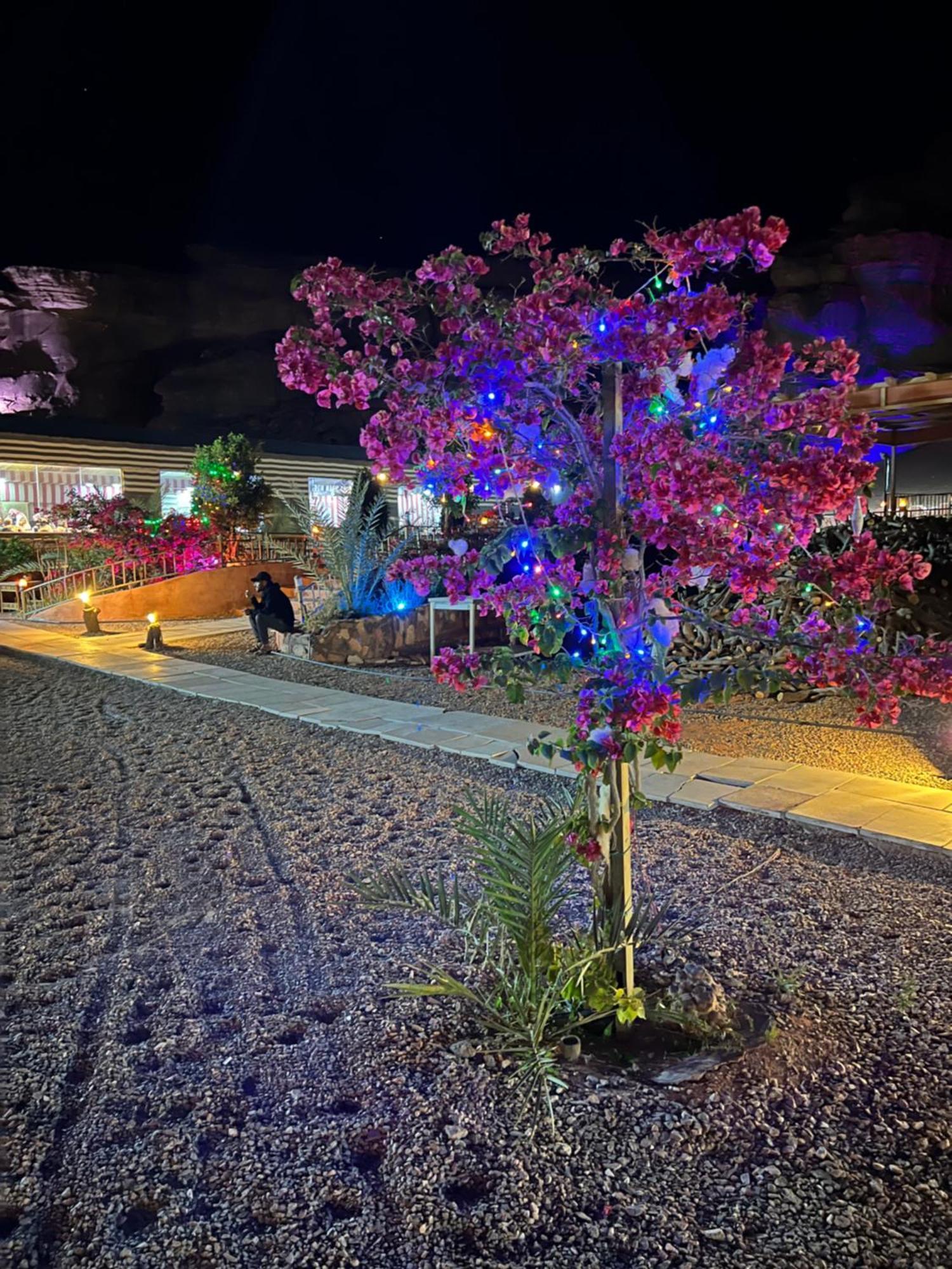 Ferienwohnung Moon Magic Valley Wadi Rum Exterior foto