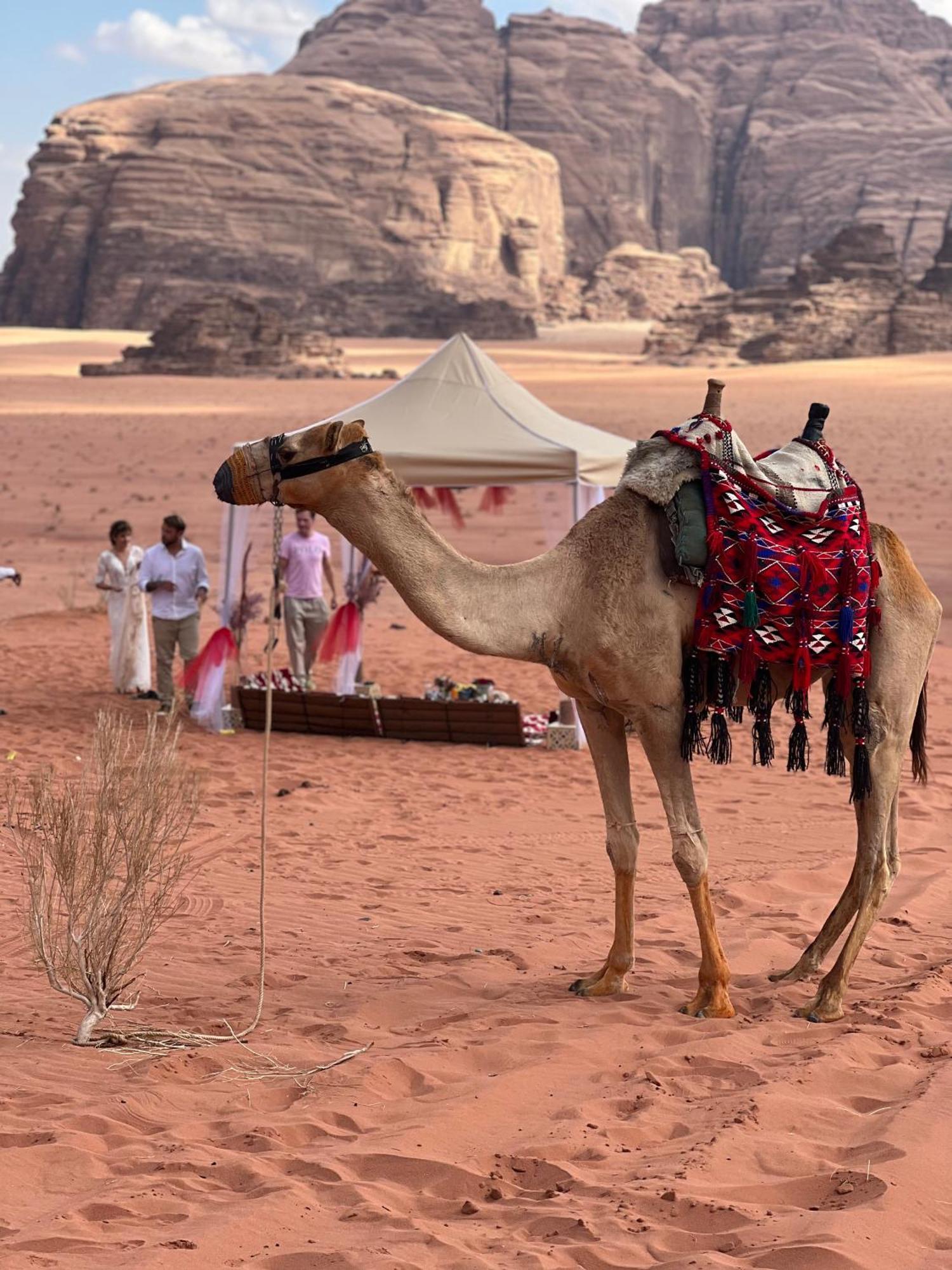 Ferienwohnung Moon Magic Valley Wadi Rum Exterior foto